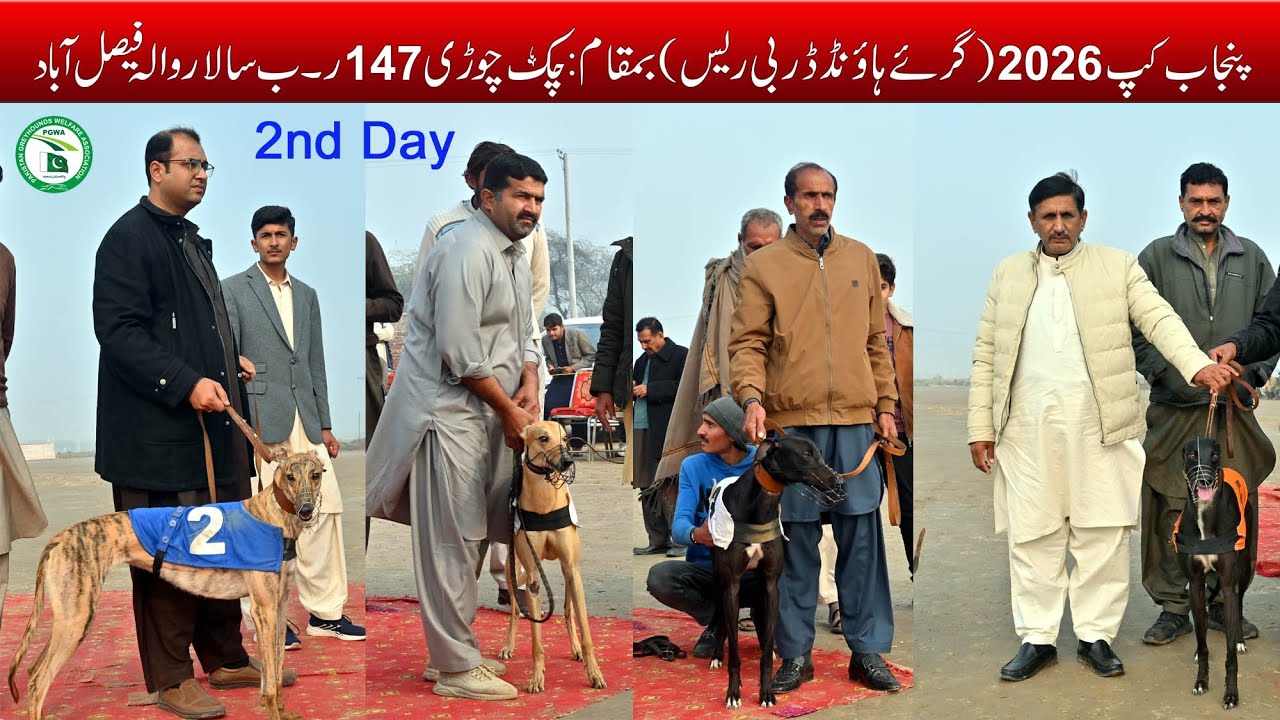 Dogs Race || Punjab Cup 2026 Greyhound Race || 2nd Day || chak Chori 147 Rb 