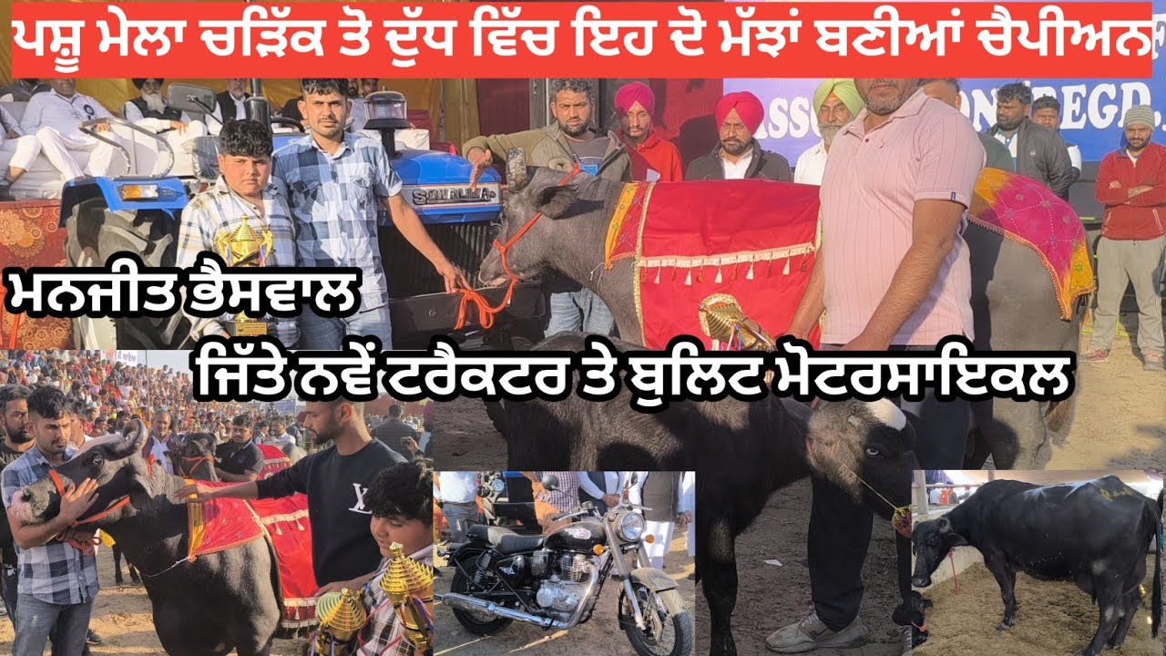 ਪਸ਼ੂ ਮੇਲਾ ਚੜਿੱਕ ਤੋ ਦੁੱਧ ਵਿੱਚ ਇਹ ਦੋ ਮੱਝਾਂ ਬਣੀਆਂ ਚੈਪੀਅਨ ਜਿੱਤੇ ਨਵੇਂ ਟਰੈਕਟਰ ਤੇ ਬੁਲਿਟ ਮੋਟਰਸਾਇਕਲ।