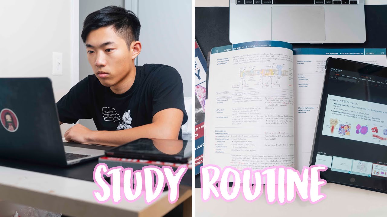 MY MED SCHOOL STUDY ROUTINE | 40-50 Hr Weekly Routine 🏥