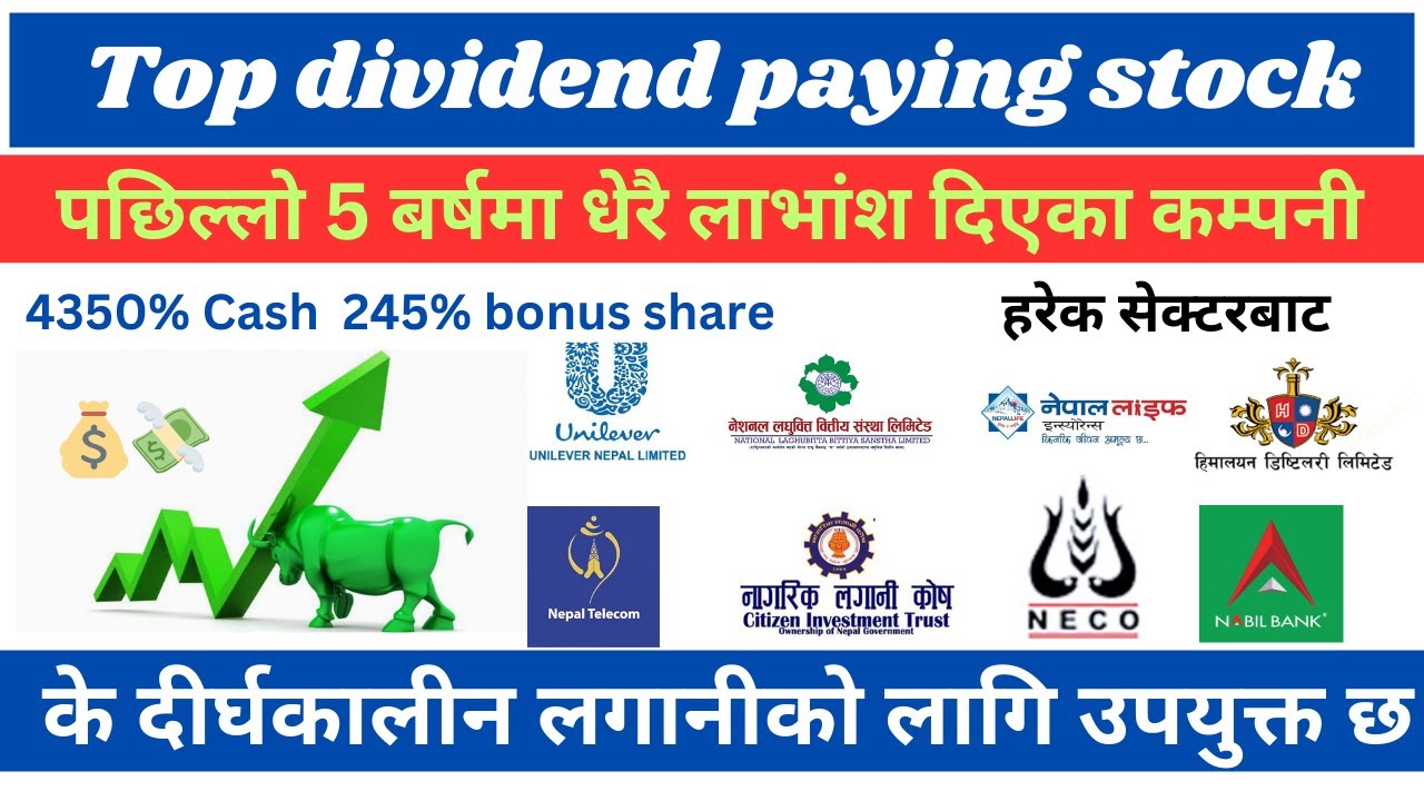 पछिल्लो 5 बर्षमा उच्च लाभांश दिएका कम्पनी/ Top dividend paying stock/ every sector/ shree tech Nepal