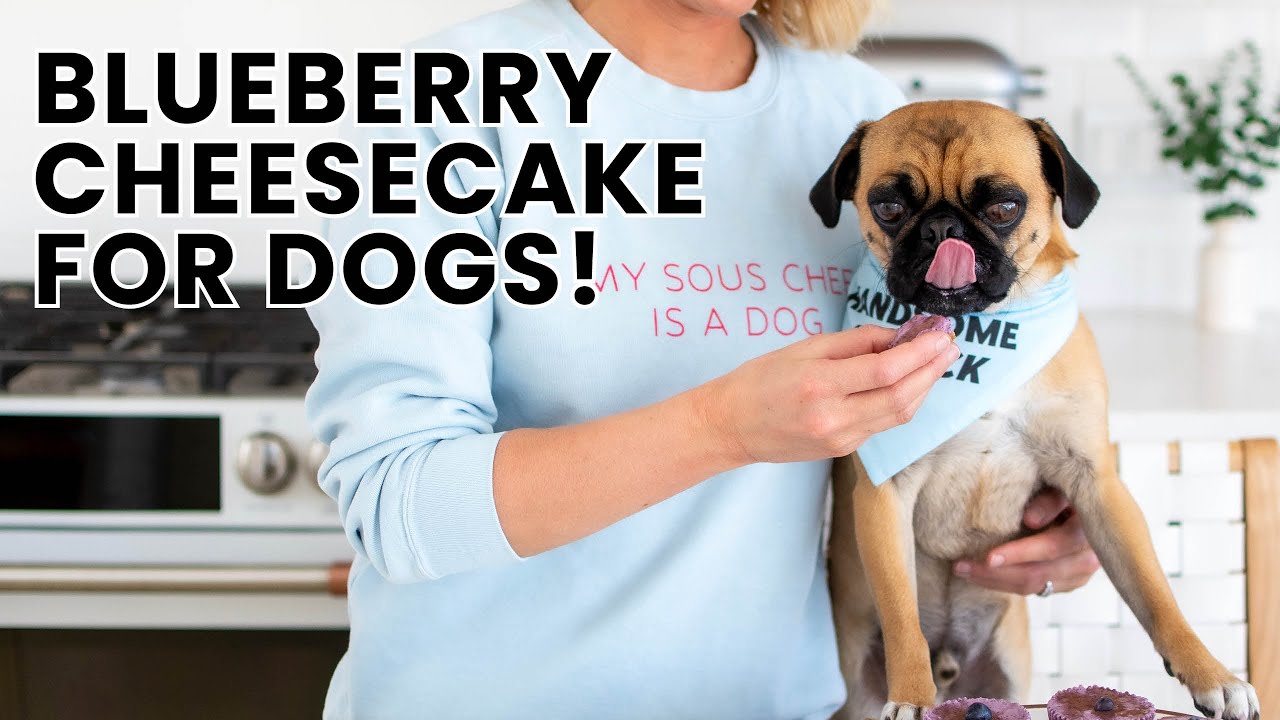 Mini Blueberry Cheesecake for Dogs!