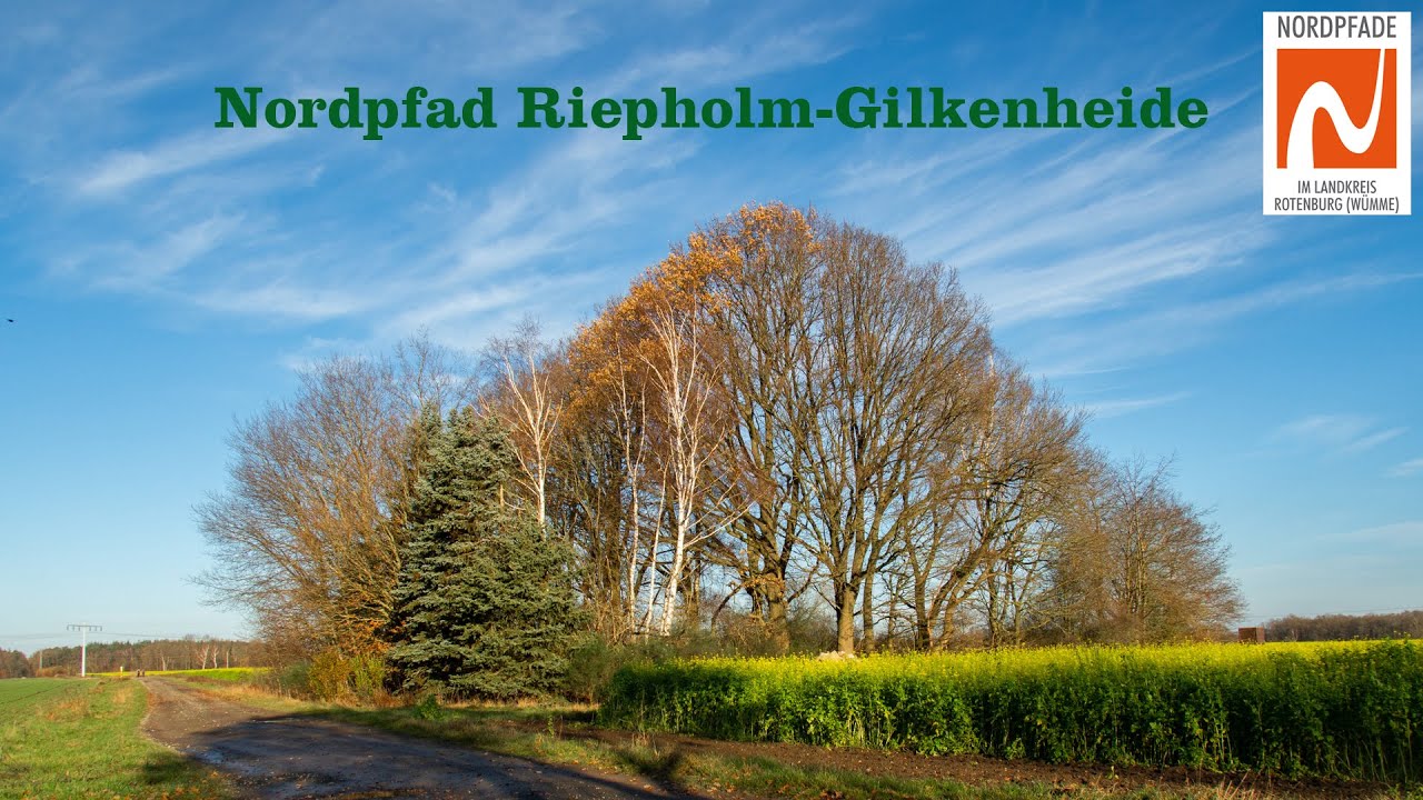 Nordpfad Riepholm Gilkenheide