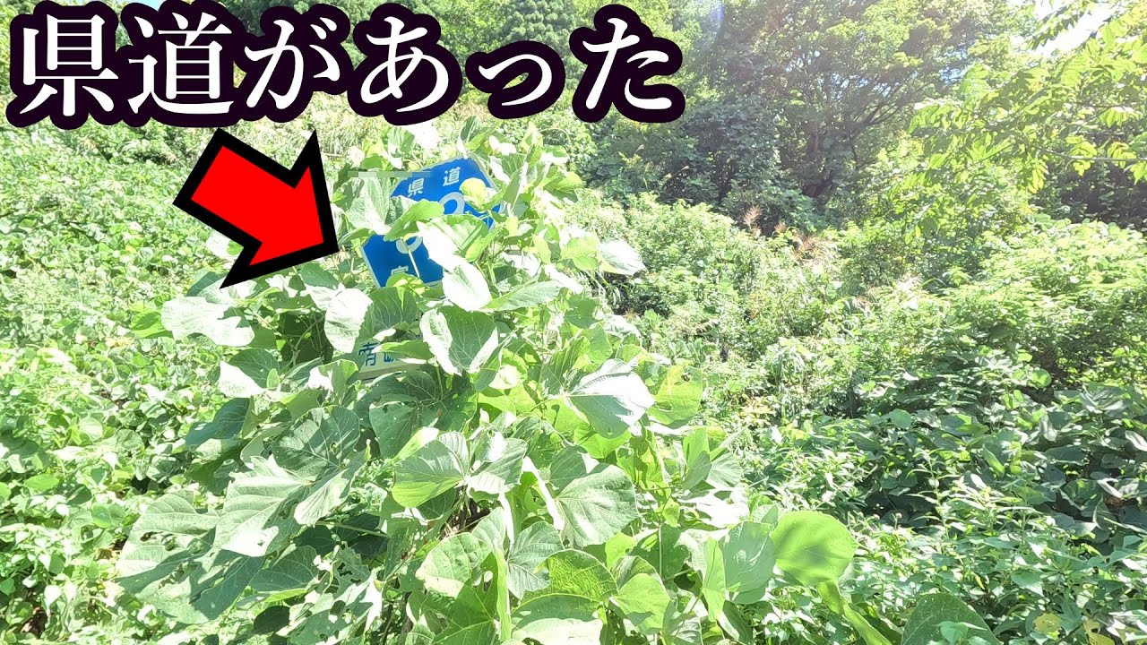 その県道区間が通れる日は二度とやってこないだろう…[富山県道59号 富山庄川線]