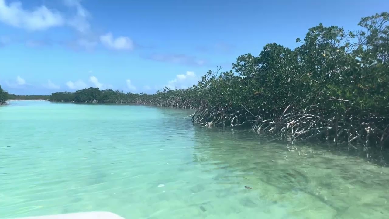 Dingy ride