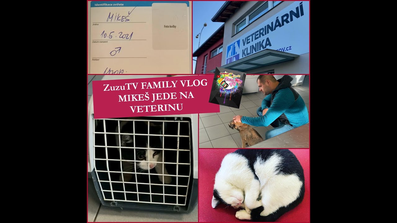 ZuzuTV FAMILY VLOG - MIKE&Scaron; jede na veterinu 😺