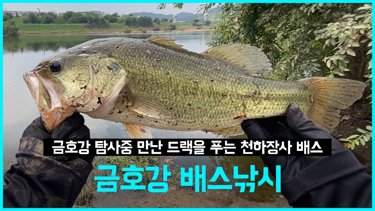 [배스낚시] 