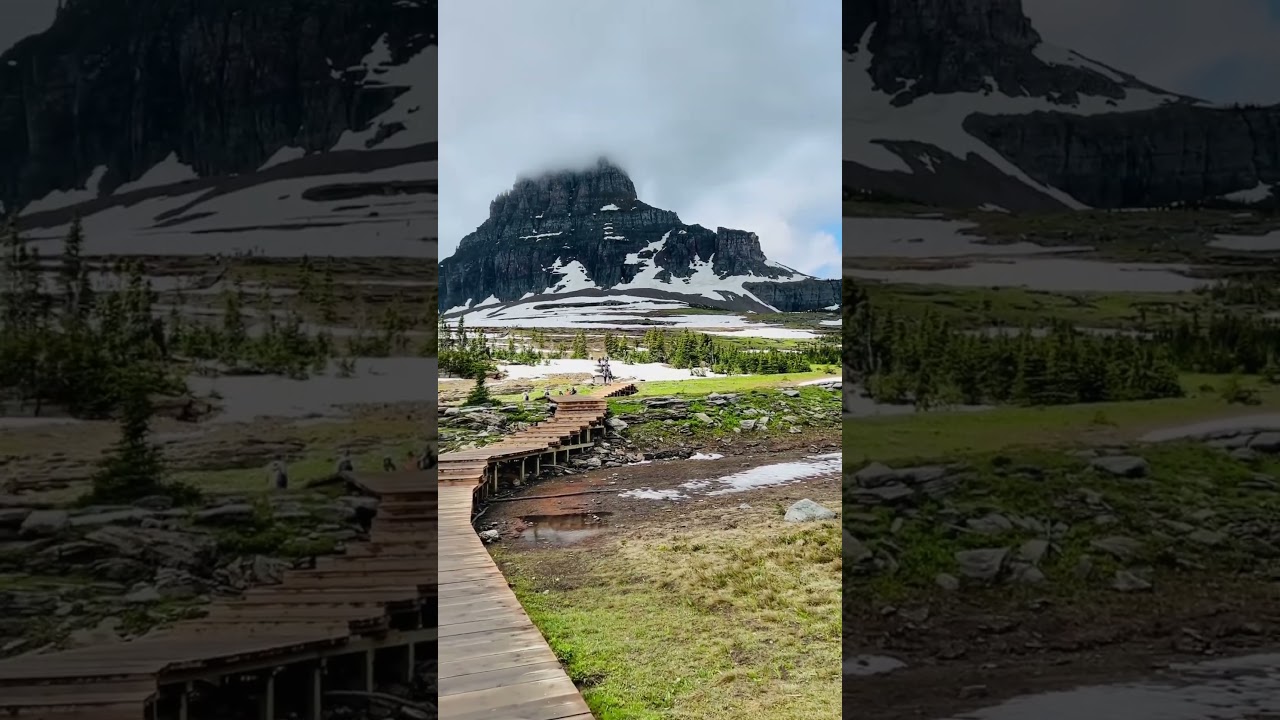 Logan Pass, Glacier National Park  