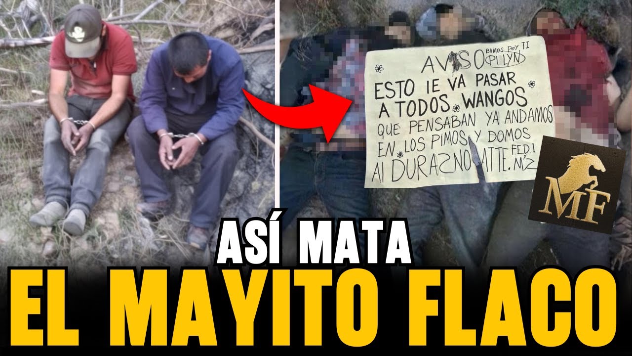 VIDEO revela EJECUCIONES y NARCOMENSAJES de LA MAYIZA contra rivales en SINALOA