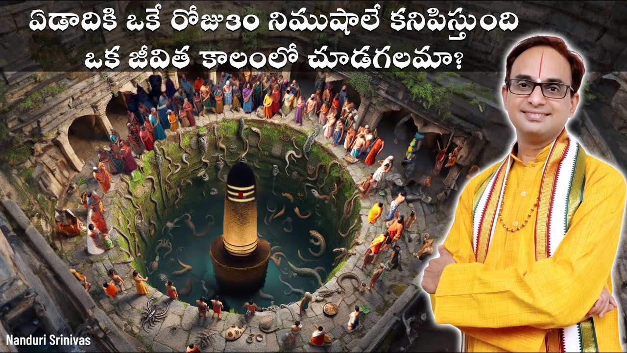 ఏడాదికి ఒక్కరోజే కనిపిస్తుంది - జీవితకాలంలో చూడటం అదృష్టమే | Puri Lokanath secret | Nanduri Srinivas