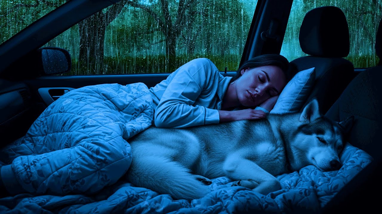 Chuva Suave no Carro com Trovões 🌧️ ASMR Calmante para Sono e Relaxamento