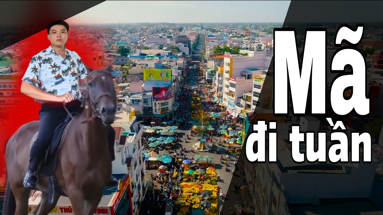 Thử thách Mã Đi Tuần - Map Trà Vinh