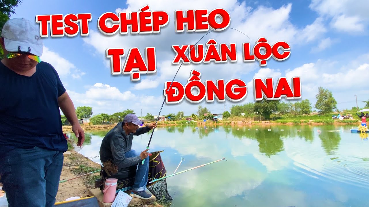 CÂU ĐÀI - TEST CHÉP HEO TẠI XUÂN LỘC ĐỒNG NAI !