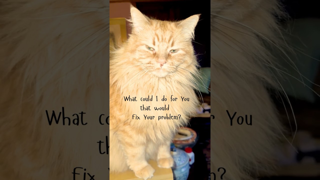 When His Problem Is Your Problem 