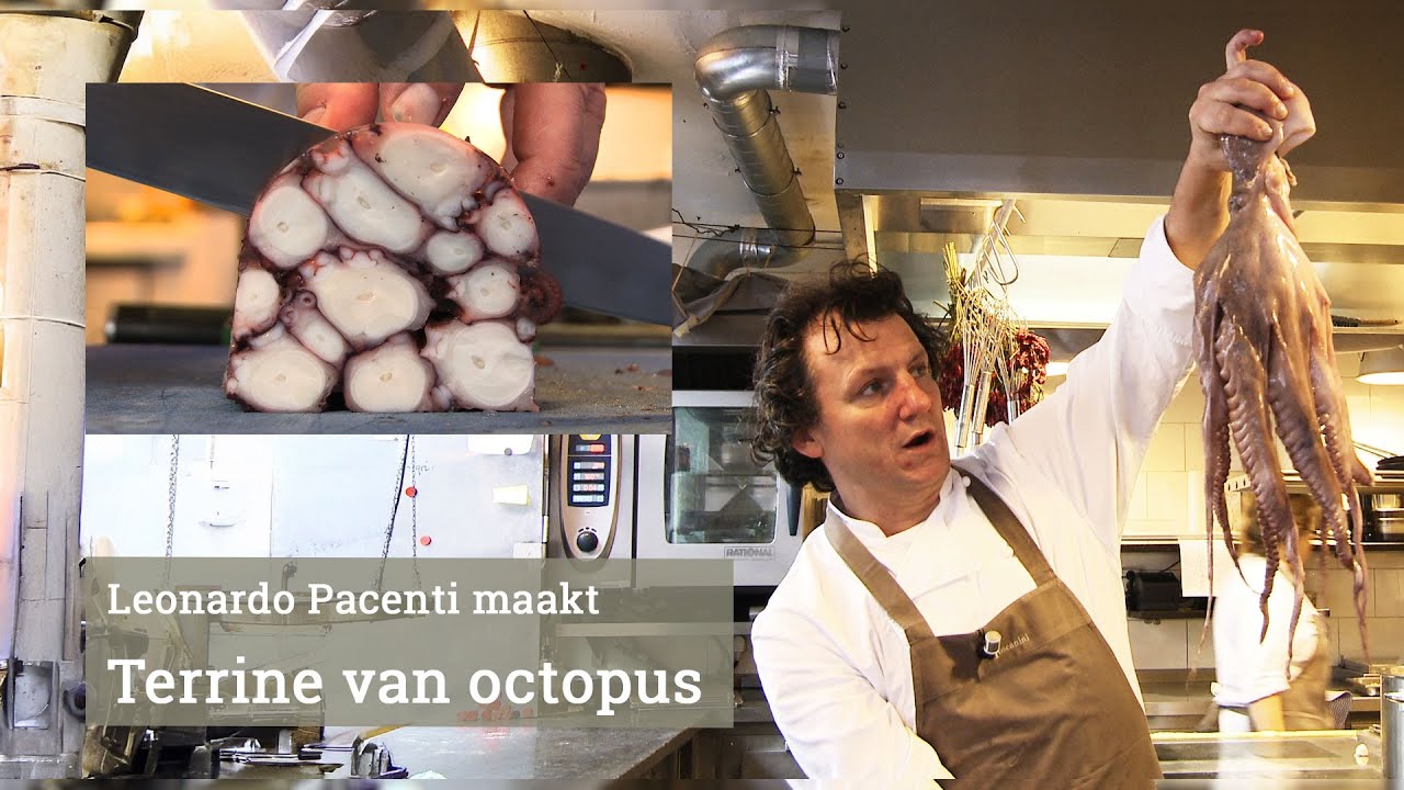 Terrine van octopus