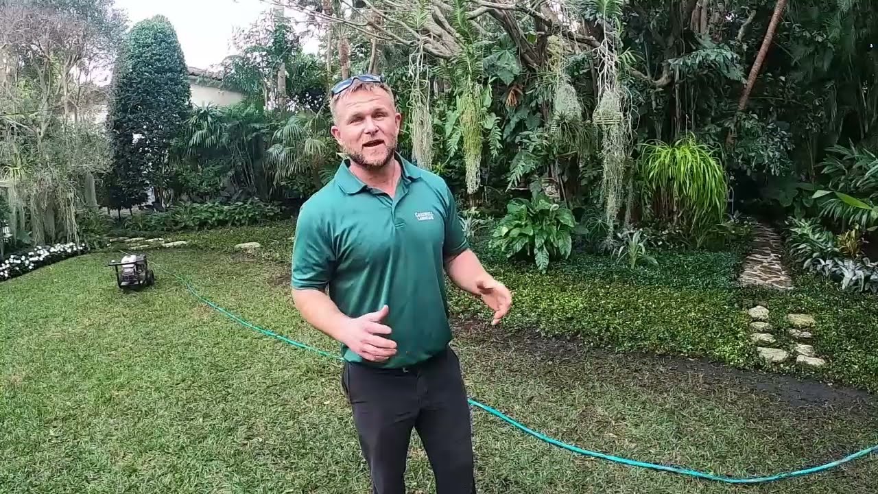 2 DAY TROPICAL GARDEN INSTALLATION IN 