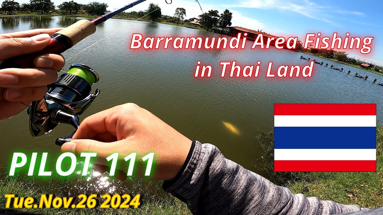 PILOT 111 Nov.26 2024 / Barramundi Area Fishing in Thai Land