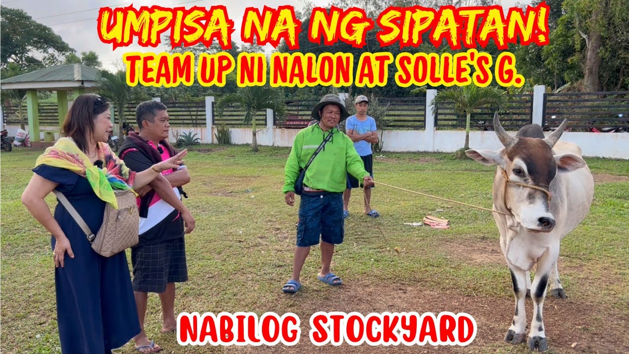 UMPISA NA NG SIPATAN! TEAM UP NI NALON AT SOLLE’S G. |  NABILOG STOCKYARD | SOLLE'S GANDANG BUHAY
