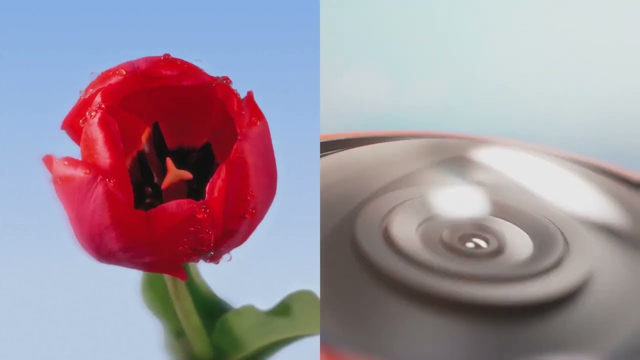 Revolutionizing Backyard Wildlife with Wonderblocks & Petal – CES 2025 Exclusive!