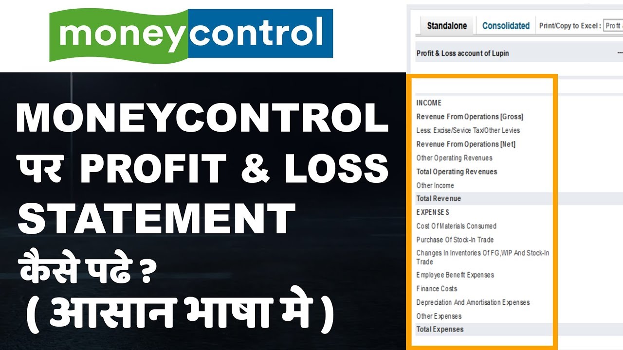 How to Read Profit and Loss Statement on Money Control? (Hindi) Part 3
