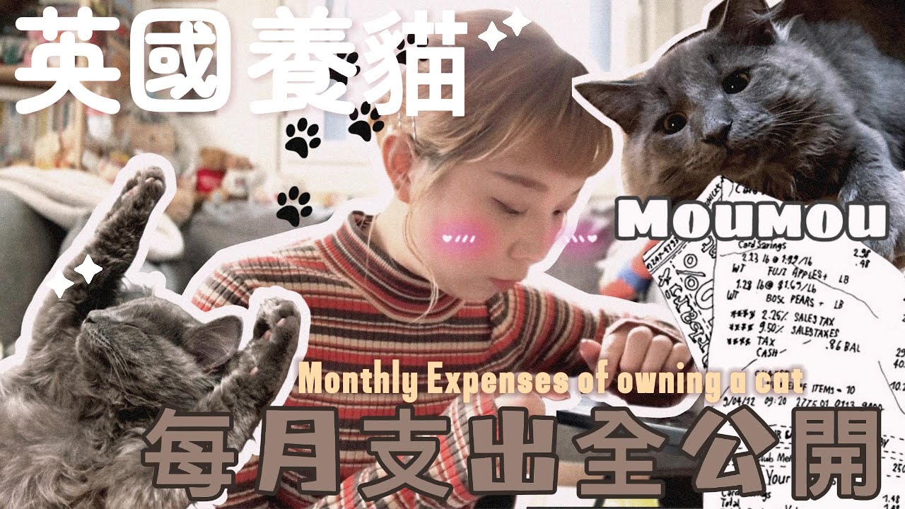 【CHAT】|英國養一隻貓到底花多少錢？每月支出全公開！💰｜成為貓奴快一年了🙂‍↕️還請繼續多多指教♥️ | Flys