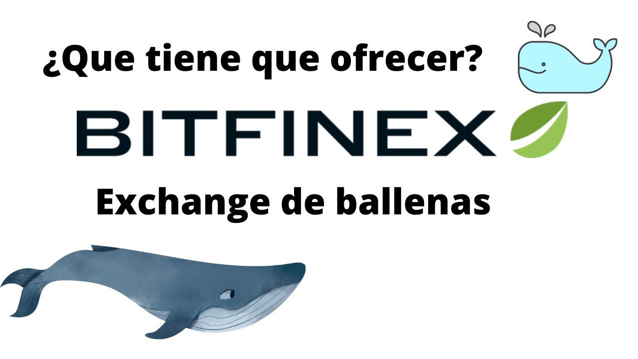Bitfinex. El exchange de las ballenas