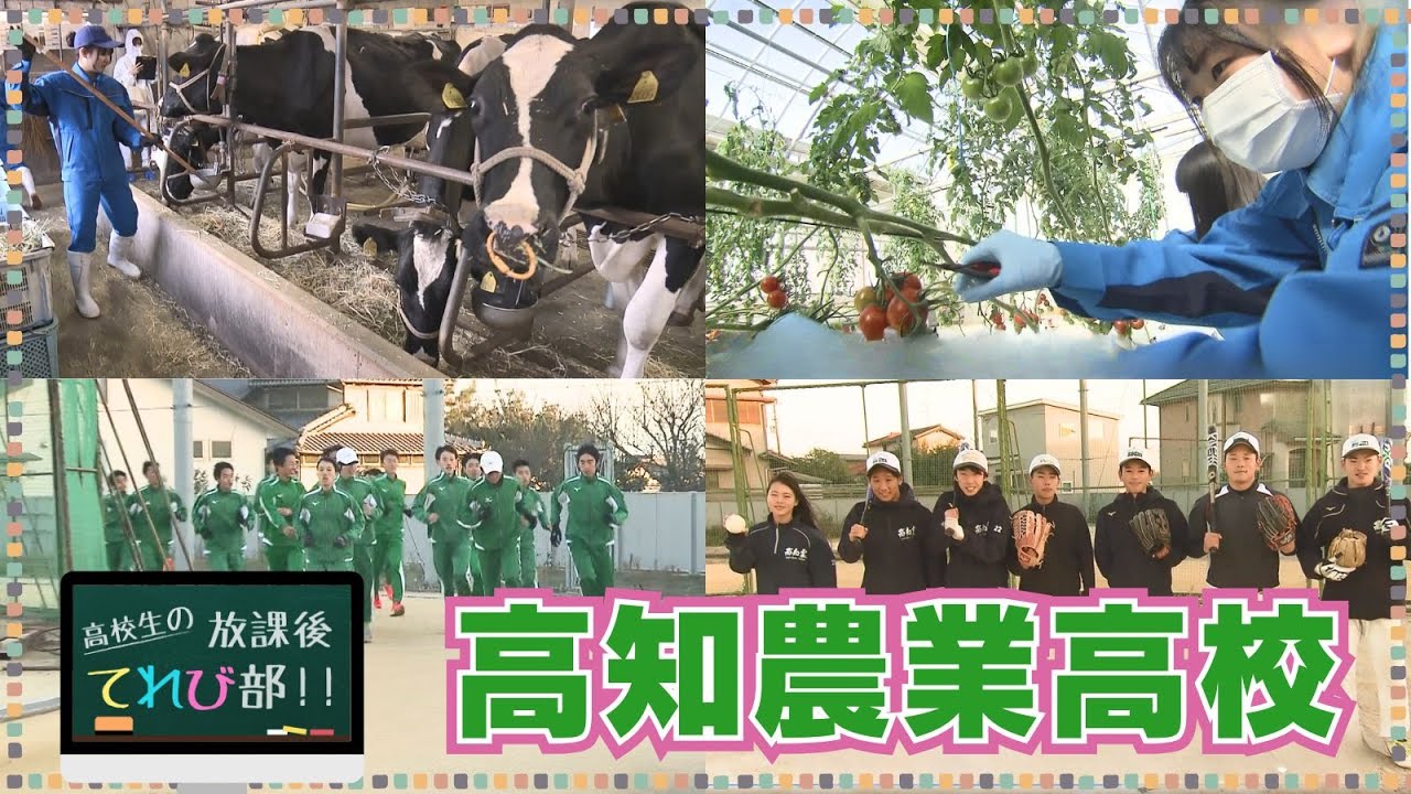 高校生の放課後てれび部「高知農業高校」2025年12月放送