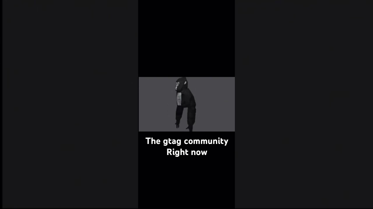 We are all confused #gorillatag #vrmemes #cutememes #vr #vrmeme #memes #gtag #gorillatagmemes #gnome