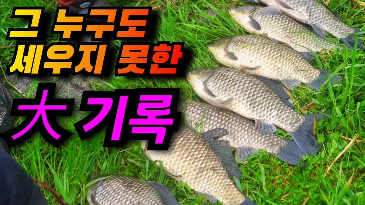 믿기지 않는 조과 / 황룡강이 뱉어낸 대물 붕어들 / 황룡강 붕어낚시 / 얼레붕어낚시 정출