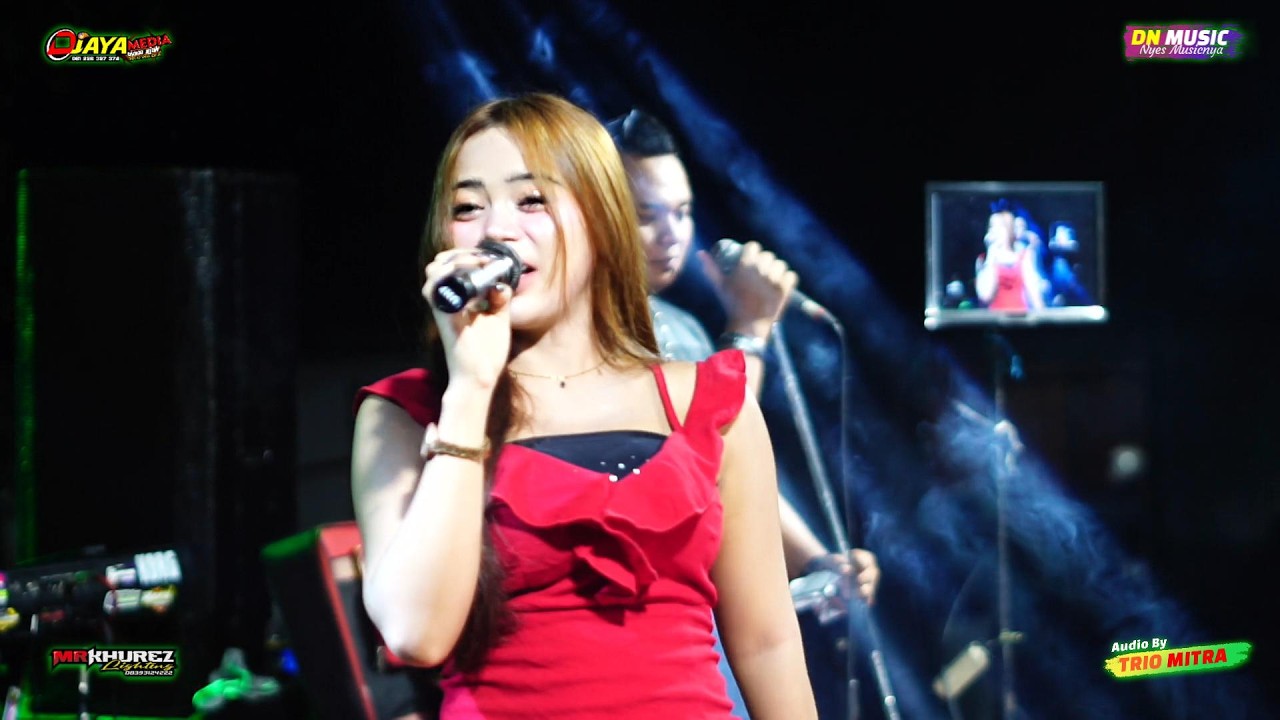 CAMELIA - DN MUSIC