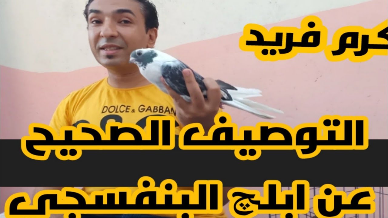 الموصفات القياسية الابلق البنفسجى الجزء الرابع مع ا/كرم فريد#لوفت_عمرو_اشرف #الحمام