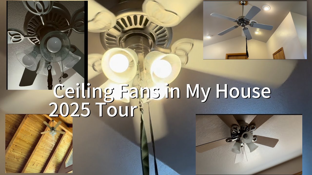 Ceiling Fans in My House – 2025 Tour!