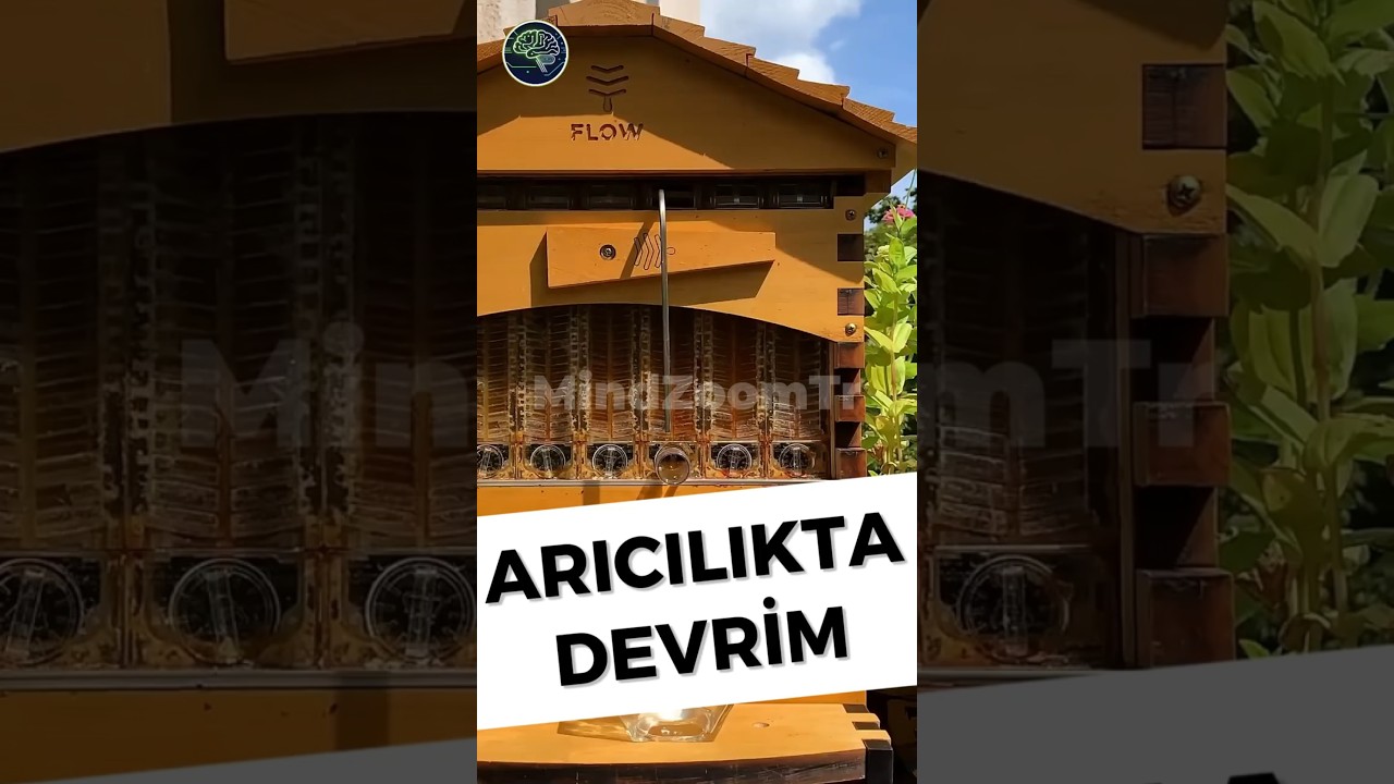 Arıcılıkta Devrim! 🐝 Flow Hive ile Bal Toplamak Artık &Ccedil;ok Kolay