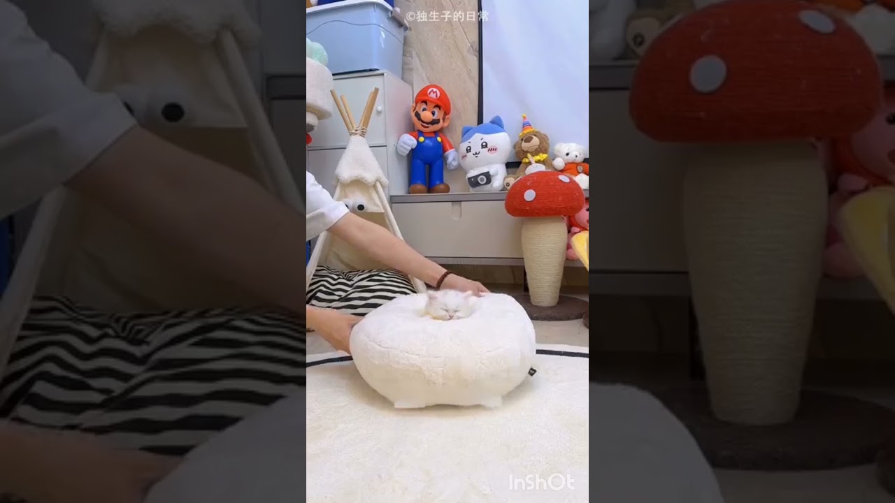 ##