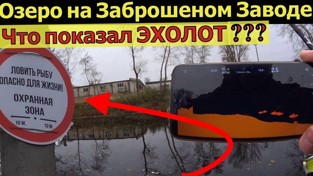 Залез с Эхолотом для рыбалки на заброшеный рыбхоз. Тут было полно рыбы.