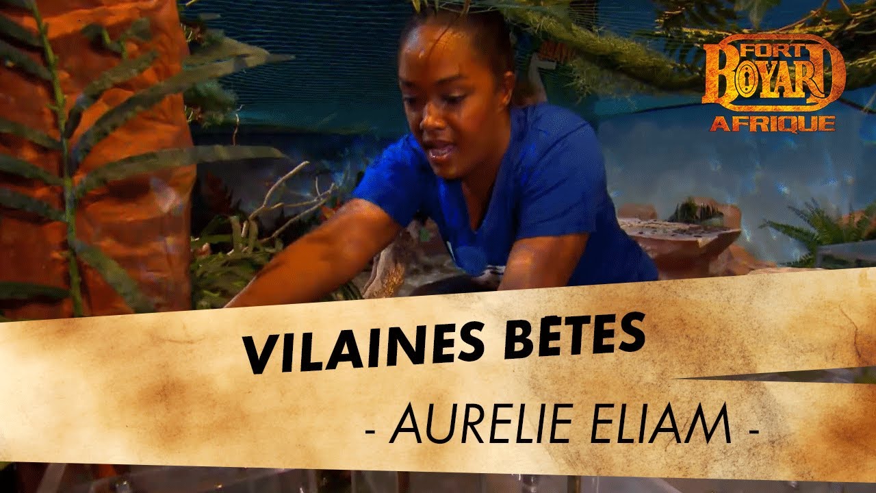 VILAINES BÊTES : AURÉLIE ELIAM - FORT BOYARD AFRIQUE (26/10/19)