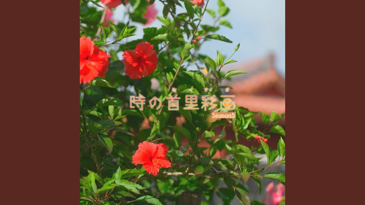 踊りこはでさ節