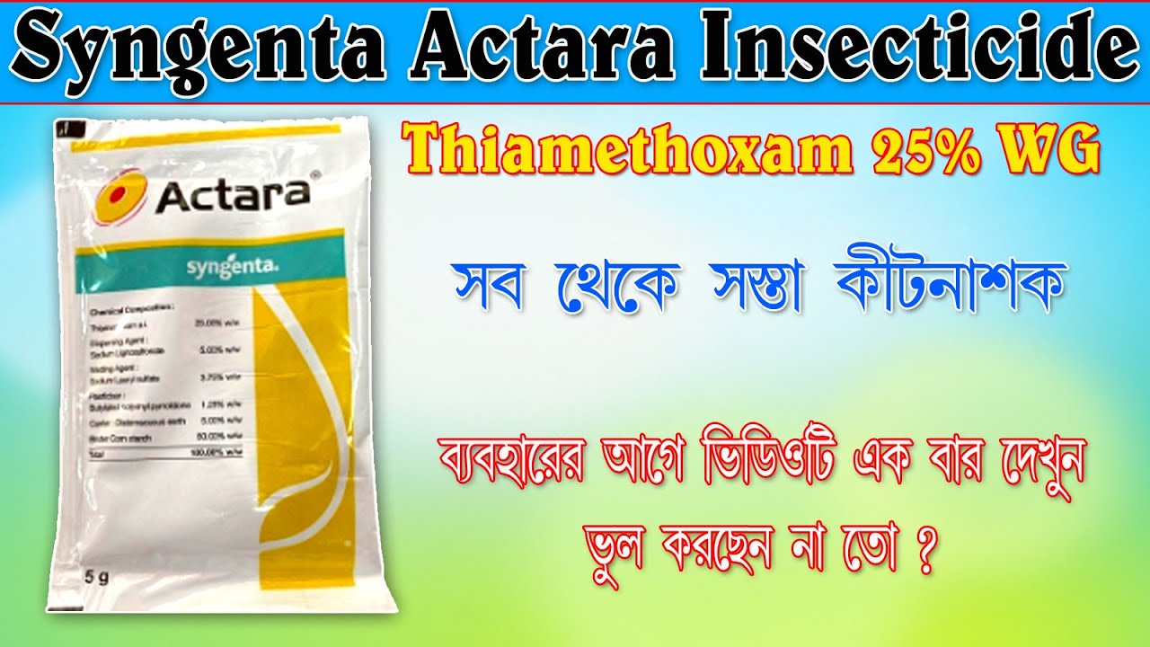 Syngenta Actara Insecticide সম্পর্কে সম্পূর্ণ তথ্য  I একতারা কীটনাশকের সঠিক ব্যবহার | A to Z I