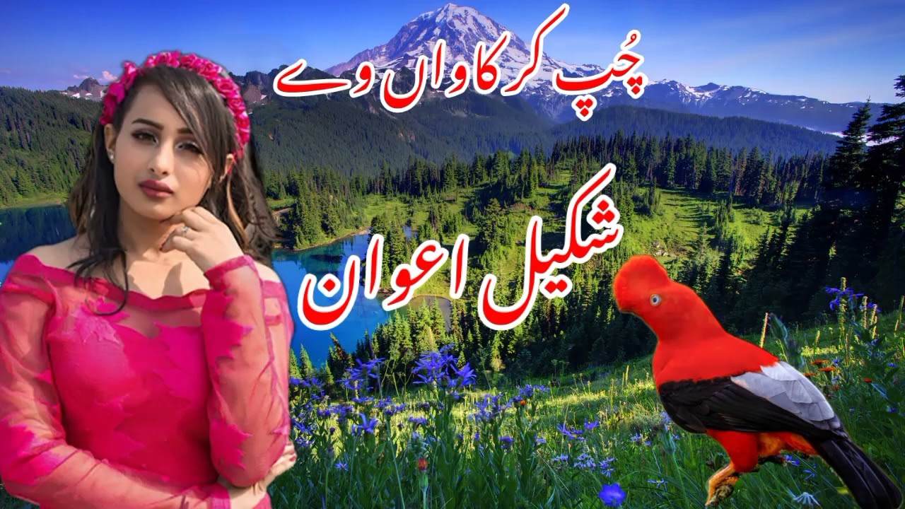 Shakeel_Awan_Old_Super_Hit_Song🌹|Chup_Kar_Kavan_Ve|