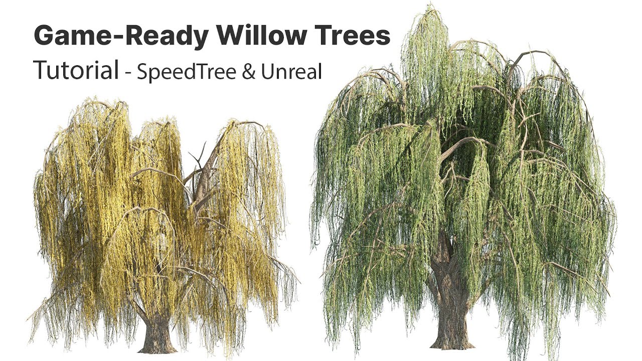 Creating Game-Ready Weeping Willow Trees in SpeedTree & Unreal Engine - Summer & Fall