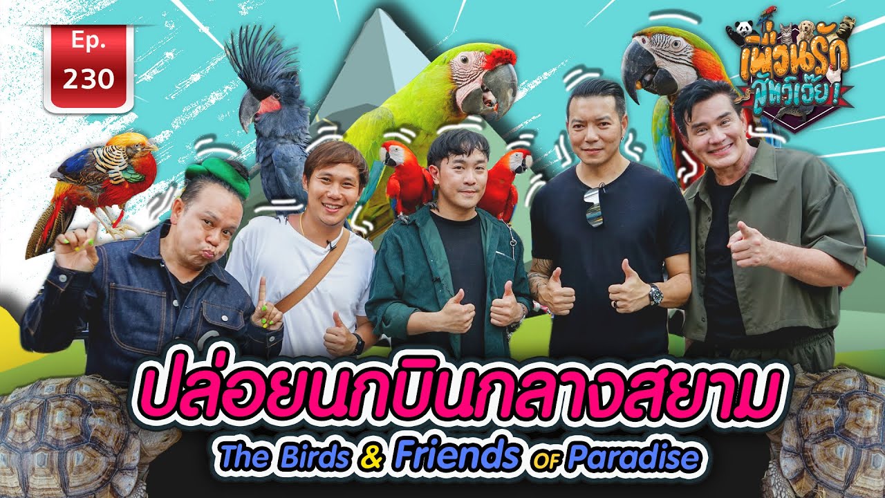 ปล่อย #นกบินอิสระ กลางสยาม The Birds&Friends of Paradise |เพื่อนรักสัตว์เอ๊ย EP.230 free flying bird