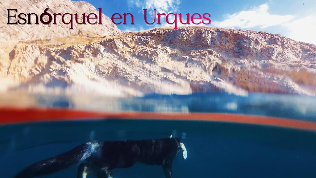 Esnórquel en Urques