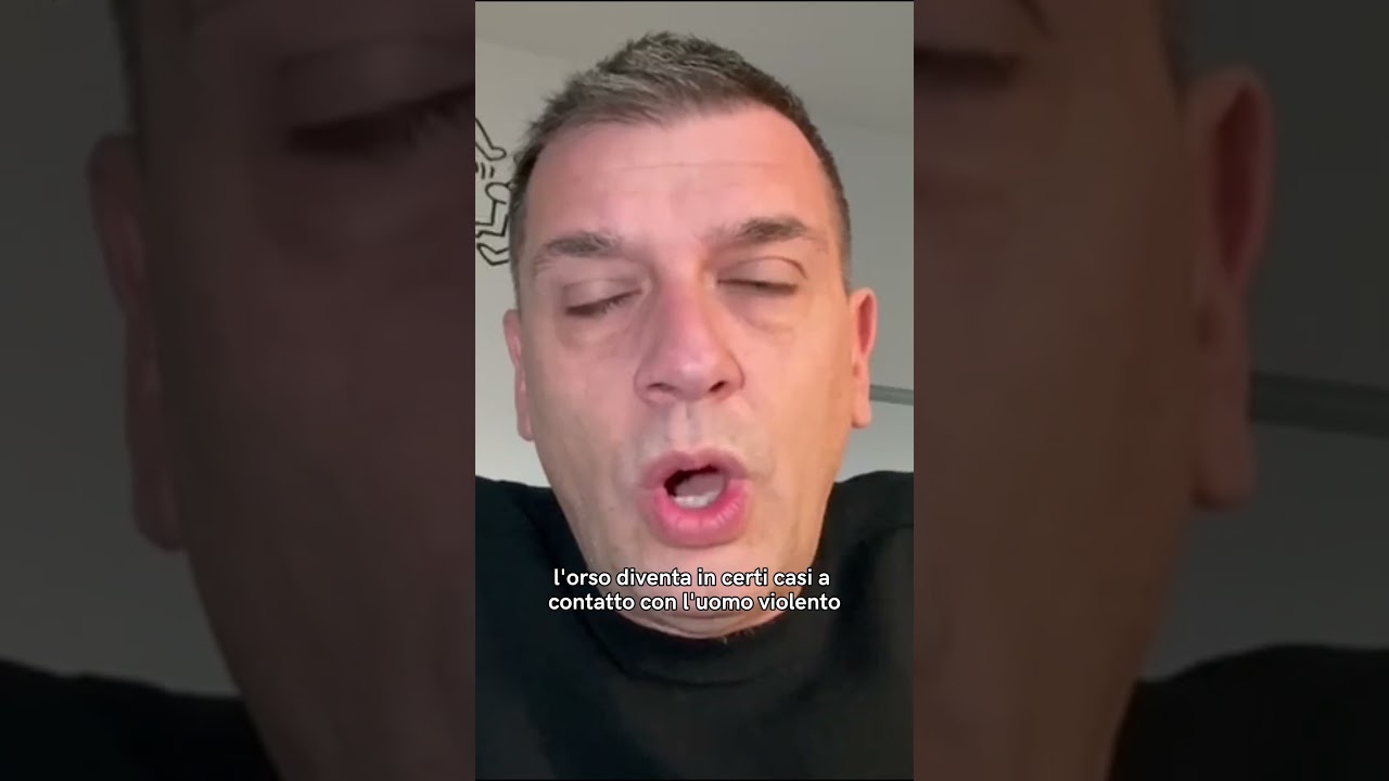 Fugatti indagato ma ha fatto bene! #politicaitaliana #poletti #robertopoletti #fugatti #orso