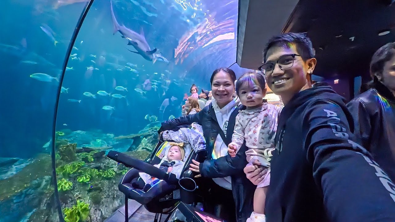 First time at the Shedd Aquarium