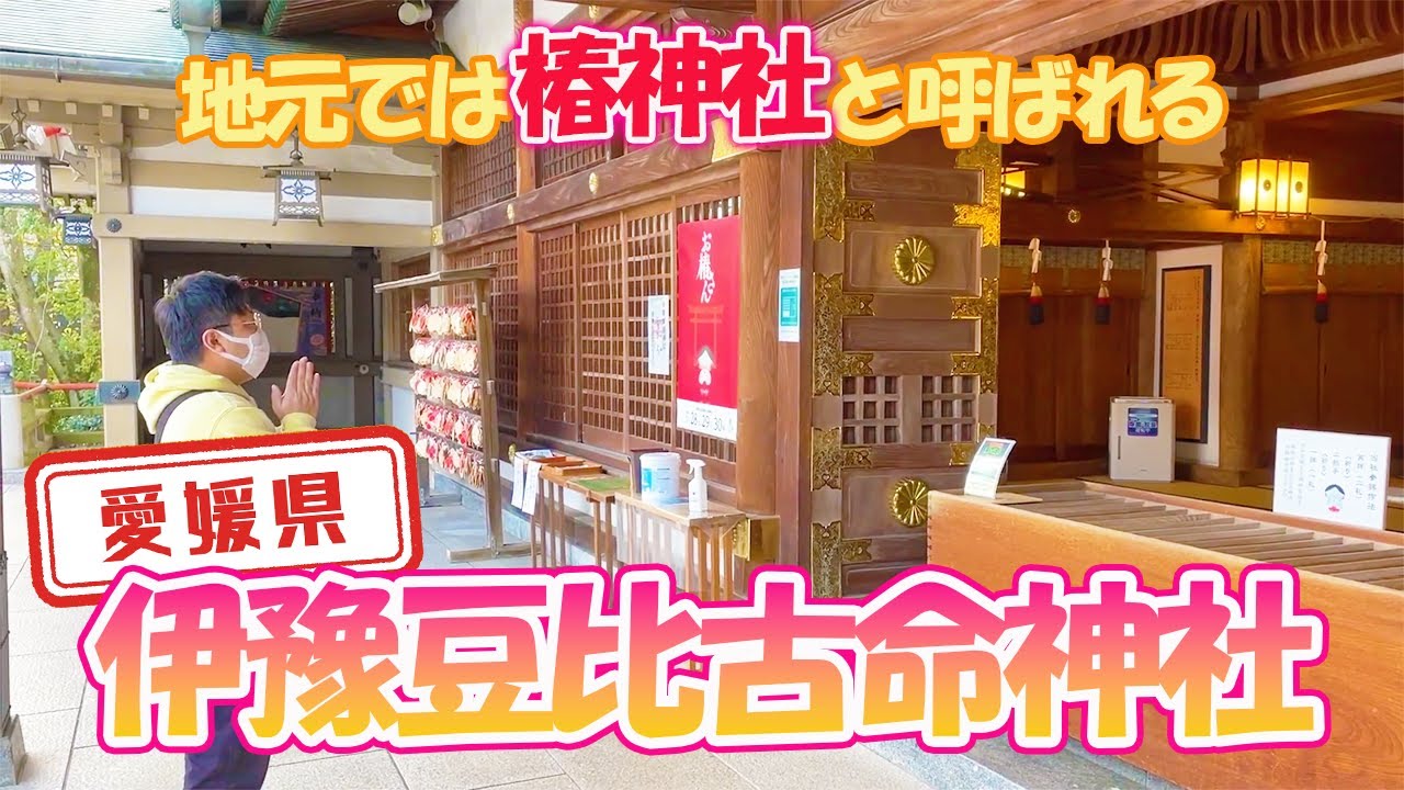 【愛媛県】【椿神社】地元の人から愛される「伊豫豆比古命神社」