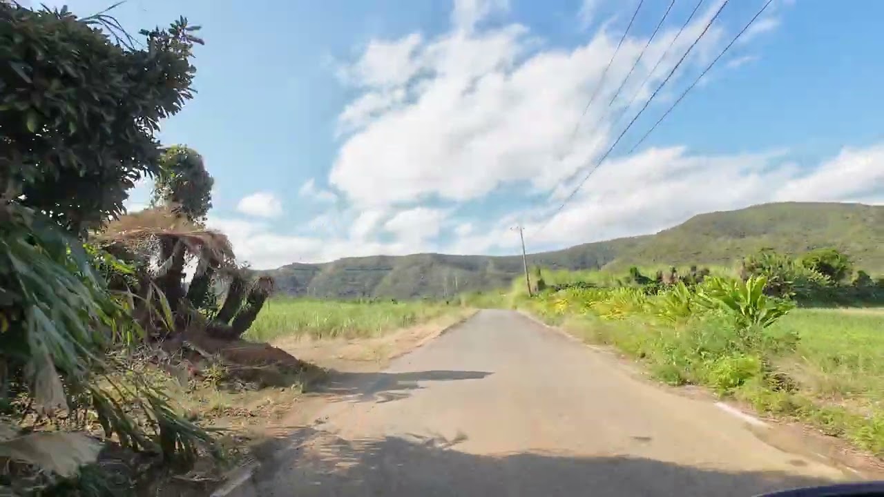 Amami countryside driving on a scooter #,2 Japan 4K 60FPS