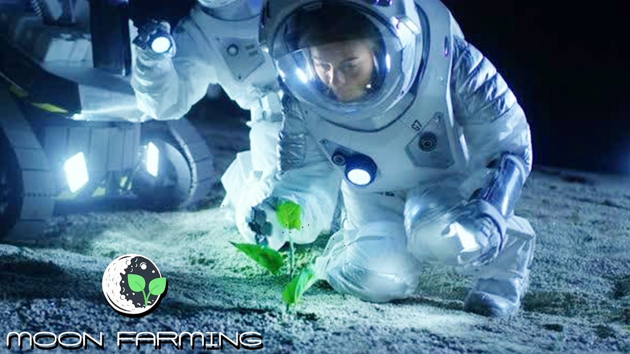 MOON FARMING SIMULATOR - NEW Moon Colony Base Building Simulator Prepares You For Survival in Space