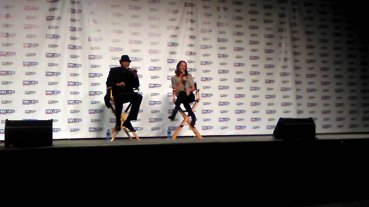 Amy Acker Panel - Fan Expo Dallas 2016