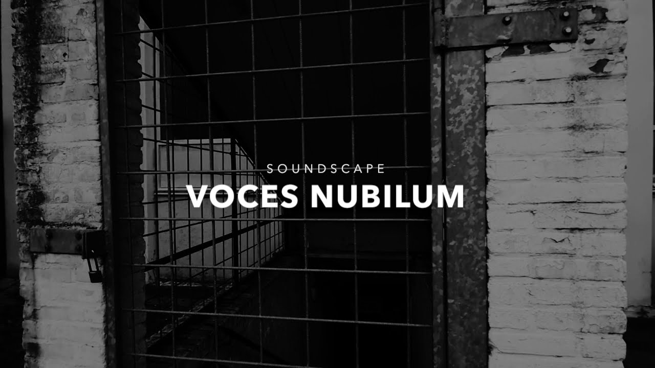 Voces Nubilum [Modular Eurorack Soundscape]