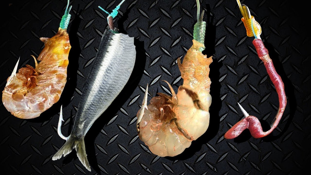 7 MANEIRAS de USAR ISCAS NATURAIS na PESCA de PRAIA - DICAS de SURFCASTING - BEACH FISHING