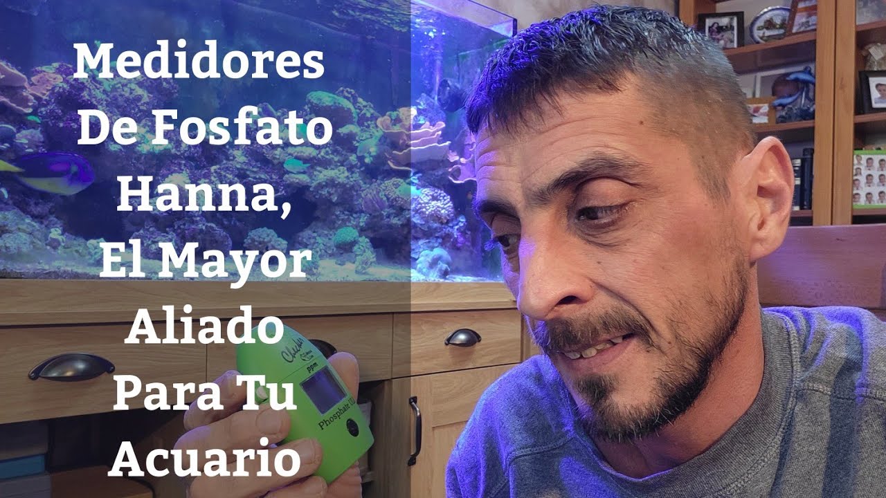 🔵 Medidor De Fosfatos Digital De Hanna,Como Elegir El Mejor Modelo Y Como Utilizarlos (Acuarios MB)